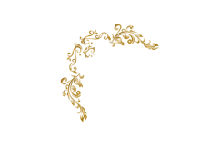 Golden decorative floral luxury ornamental frame vector Product Image 1