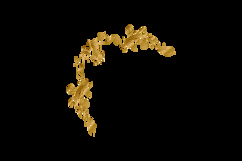 Golden decorative floral luxury ornamental frame vector Product Image 2