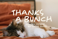 Golden Ember - All Caps Handwritten Font Product Image 7