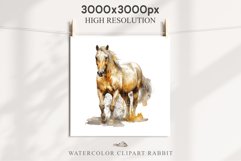 Golden Horse Farm Animals Black Horses Clipart PNG Image Watercolor  Transparent Print for invitation t-shirt designs sublimation kids printable digital watercolor Golden Horse, black horses clipart, sublimation nursery drawing, farm animals life art