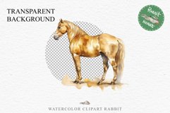 Golden Horse Farm Animals Black Horses Clipart PNG Image Watercolor  Transparent Print for invitation t-shirt designs sublimation kids printable digital watercolor Golden Horse, black horses clipart, sublimation nursery drawing, farm animals life art