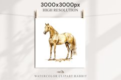Golden Horse Farm Animals Black Horses Clipart PNG Image Watercolor  Transparent Print for invitation t-shirt designs sublimation kids printable digital watercolor Golden Horse, black horses clipart, sublimation nursery drawing, farm animals life art