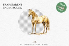 Golden Horse Farm Animals Black Horses Clipart PNG Image Watercolor  Transparent Print for invitation t-shirt designs sublimation kids printable digital watercolor Golden Horse, black horses clipart, sublimation nursery drawing, farm animals life art