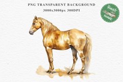 Golden Horse Farm Animals Black Horses Clipart PNG Image Watercolor  Transparent Print for invitation t-shirt designs sublimation kids printable digital watercolor Golden Horse, black horses clipart, sublimation nursery drawing, farm animals life art