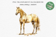 Golden Horse Farm Animals Black Horses Clipart PNG Image Watercolor  Transparent Print for invitation t-shirt designs sublimation kids printable digital watercolor Golden Horse, black horses clipart, sublimation nursery drawing, farm animals life art
