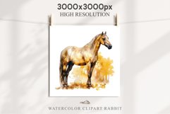Golden Horse Farm Animals Black Horses Clipart PNG Image Watercolor  Transparent Print for invitation t-shirt designs sublimation kids printable digital watercolor Golden Horse, black horses clipart, sublimation nursery drawing, farm animals life art