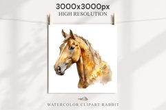 Golden Horse Farm Animals Black Horses Clipart PNG Image Watercolor  Transparent Print for invitation t-shirt designs sublimation kids printable digital watercolor Golden Horse, black horses clipart, sublimation nursery drawing, farm animals life art