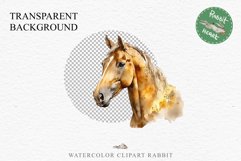 Golden Horse Farm Animals Black Horses Clipart PNG Image Watercolor  Transparent Print for invitation t-shirt designs sublimation kids printable digital watercolor Golden Horse, black horses clipart, sublimation nursery drawing, farm animals life art