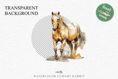Golden Horse Farm Animals Black Horses Clipart PNG Image Watercolor  Transparent Print for invitation t-shirt designs sublimation kids printable digital watercolor Golden Horse, black horses clipart, sublimation nursery drawing, farm animals life art