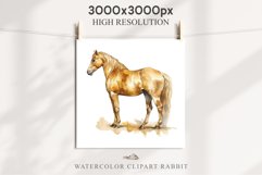Golden Horse Farm Animals Black Horses Clipart PNG Image Watercolor  Transparent Print for invitation t-shirt designs sublimation kids printable digital watercolor Golden Horse, black horses clipart, sublimation nursery drawing, farm animals life art