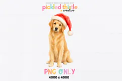 Watercolor-style PNG featuring a golden retriever with detailed golden fur, dark brown eyes and a bright red Christmas hat.