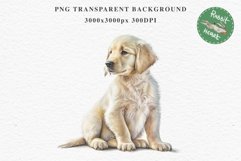 Golden Retriever Cute Puppy Baby Dog Animals Clipart PNG Watercolor  Transparent Print for invitation t-shirt designs sublimation kids printable digital watercolor Baby dog png, watercolor Golden Retriever puppy clipart, sublimation nursery drawing