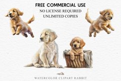 Golden Retriever Cute Puppy Baby Dog Animals Clipart PNG Watercolor  Transparent Print for invitation t-shirt designs sublimation kids printable digital
