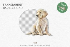 Golden Retriever Cute Puppy Baby Dog Animals Clipart PNG Watercolor  Transparent Print for invitation t-shirt designs sublimation kids printable digital watercolor Baby dog png, watercolor Golden Retriever puppy clipart, sublimation nursery drawing