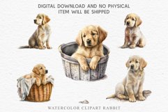 Golden Retriever Cute Puppy Baby Dog Animals Clipart PNG Watercolor  Transparent Print for invitation t-shirt designs sublimation kids printable digital