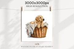 Golden Retriever Cute Puppy Baby Dog Animals Clipart PNG Watercolor  Transparent Print for invitation t-shirt designs sublimation kids printable digital watercolor Baby dog png, watercolor Golden Retriever puppy clipart, sublimation nursery drawing