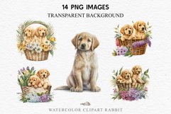 Golden Retriever Cute Puppy Baby Dog Animals Clipart PNG Watercolor  Transparent Print for invitation t-shirt designs sublimation kids printable digital