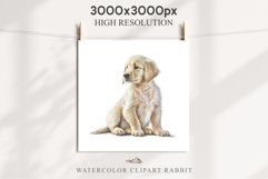 Golden Retriever Cute Puppy Baby Dog Animals Clipart PNG Watercolor  Transparent Print for invitation t-shirt designs sublimation kids printable digital watercolor Baby dog png, watercolor Golden Retriever puppy clipart, sublimation nursery drawing
