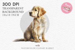 Golden Retriever Cute Puppy Baby Dog Animals Clipart PNG Watercolor  Transparent Print for invitation t-shirt designs sublimation kids printable digital