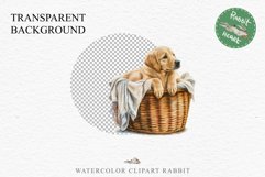Golden Retriever Cute Puppy Baby Dog Animals Clipart PNG Watercolor  Transparent Print for invitation t-shirt designs sublimation kids printable digital watercolor Baby dog png, watercolor Golden Retriever puppy clipart, sublimation nursery drawing