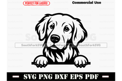 Peeking Golden Retriever Dog SVG PNG DXF EPS PDF Product Image 1
