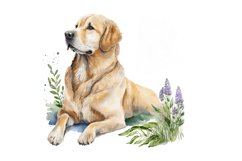 Watercolor Golden Dog Clipart,commercial use,watercolor clipart,clipart bundle,dog clipart,puppy clipart,dog digital stickers,dog sticker,birthday dog gift,watercolor dogs,dog wallart,dog lover clipart,dog portrait,dogs clip art,watercolor clipart,commerc