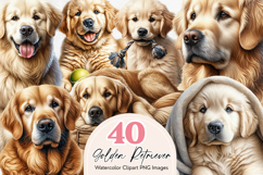 Golden Retriever Watercolor Clipart Set - 40 PNG Dog Images Product Image 1