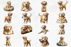 Golden Retriever Watercolor Clipart Set - 40 PNG Dog Images Product Image 2