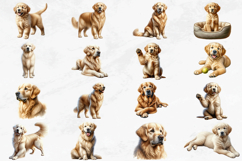 Golden Retriever Watercolor Clipart Set - 40 PNG Dog Images Product Image 3