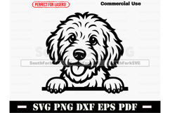 Peeking Goldendoodle Dog SVG PNG DXF EPS PDF Product Image 1