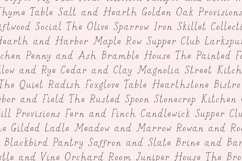 Goldenroot Serif Product Image 9