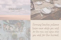 Serif Font Mini Bundle Product Image 2