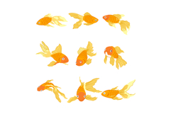 goldfish set cartoon Product Image 1