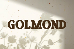golmond Product Image 9