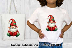 Cute Christmas gnome clipart | Christmas gnome bundle Product Image 2