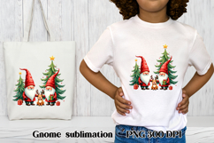 Cute Christmas gnome clipart | Christmas gnome bundle Product Image 2