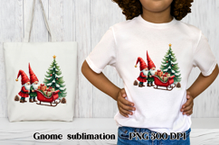 Cute Christmas gnome clipart | Christmas gnome bundle Product Image 4