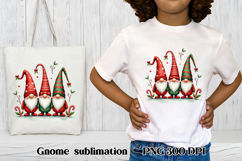 Cute Christmas gnome clipart | Christmas gnome bundle Product Image 5