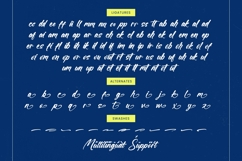 Gonjalot - Modern Brush Font Product Image 19