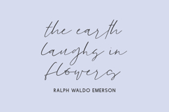 Goodspring Script Product Image 2