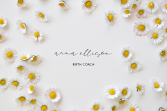 Goodspring Script Product Image 3