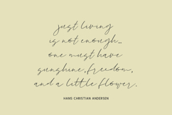 Goodspring Script Product Image 5