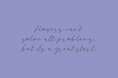 Goodspring Script Product Image 6