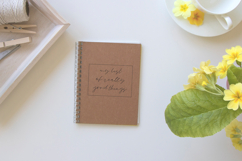 Goodspring Script Product Image 7