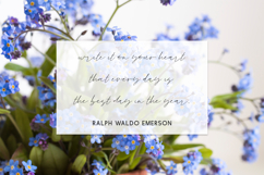 Goodspring Script Product Image 8