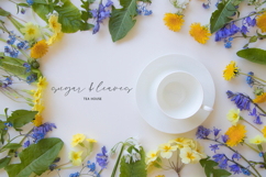 Goodspring Script Product Image 9