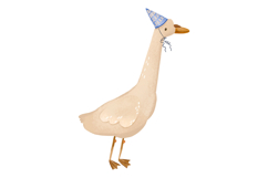 Goose Celebrate Birthday Product Image 11