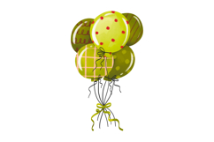 Birthday Goose Clipart Set Hand Drawn Goose Product Image 4