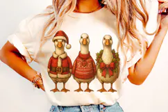 Christmas Goose, Funny Christmas Goose PNG, Merry Christmas Product Image 2
