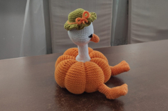 Pumpkin Goose Crochet pattern Product Image 3